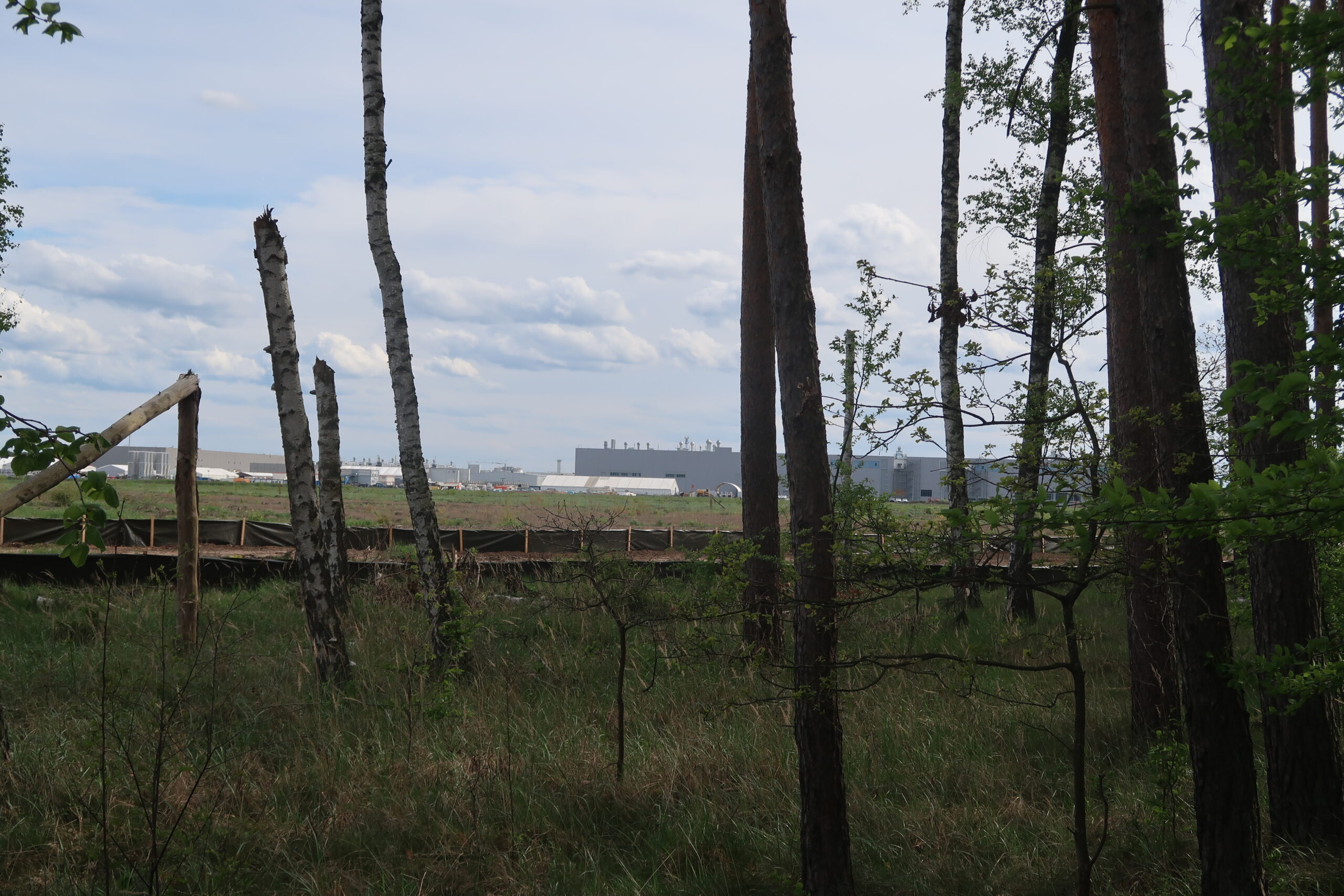 Guided visit to Grünheide and the Tesla factory area